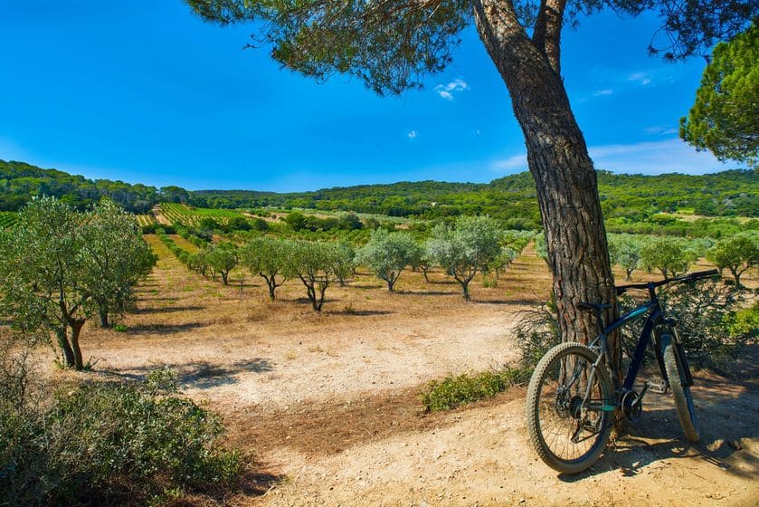 Porquerolles vélo bateau